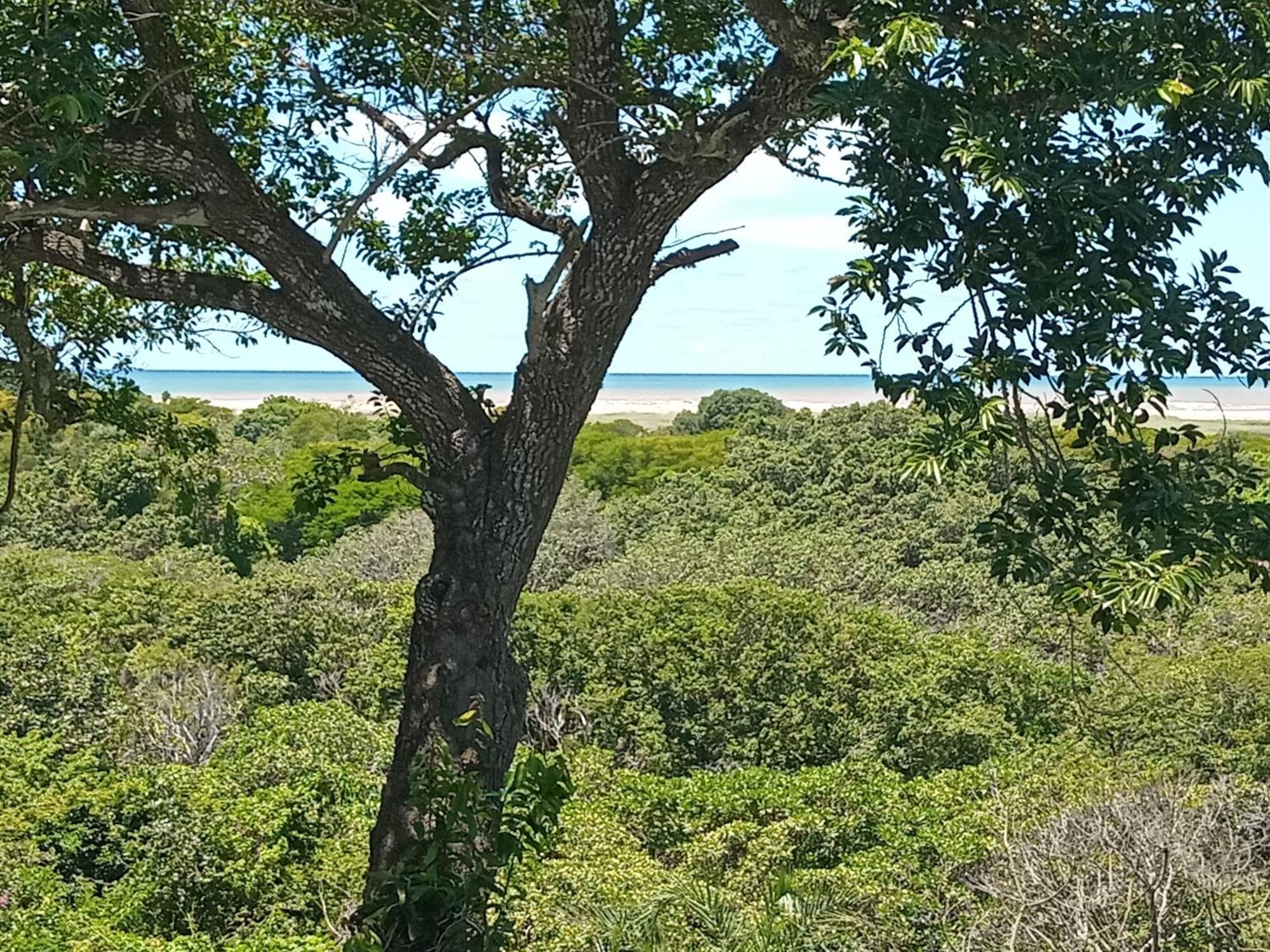 St. Lucia Ocean View Holiday Home Eksteriør bilde